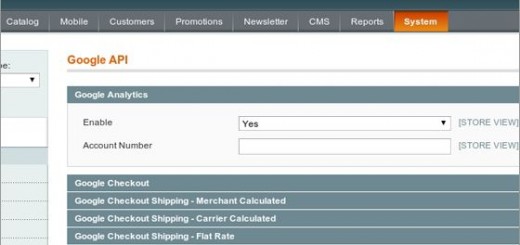 Configurare Analytics su Magento