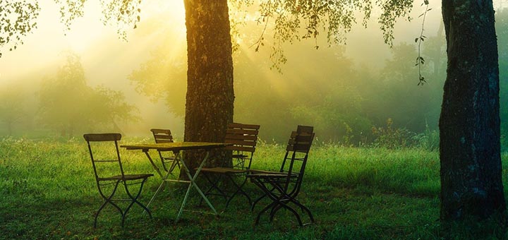 attivita nel giardino